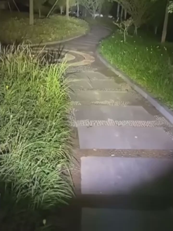 Lanterna LED Reîncărcabilă cu funcție Powerbank